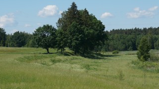 działki budowlane na mazurach