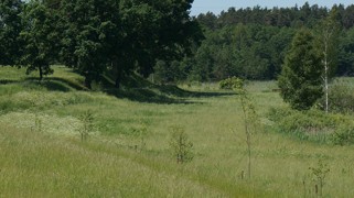 działki budowlane na mazurach