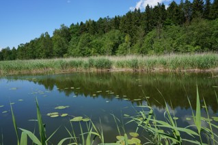 działki budowlane na mazurach